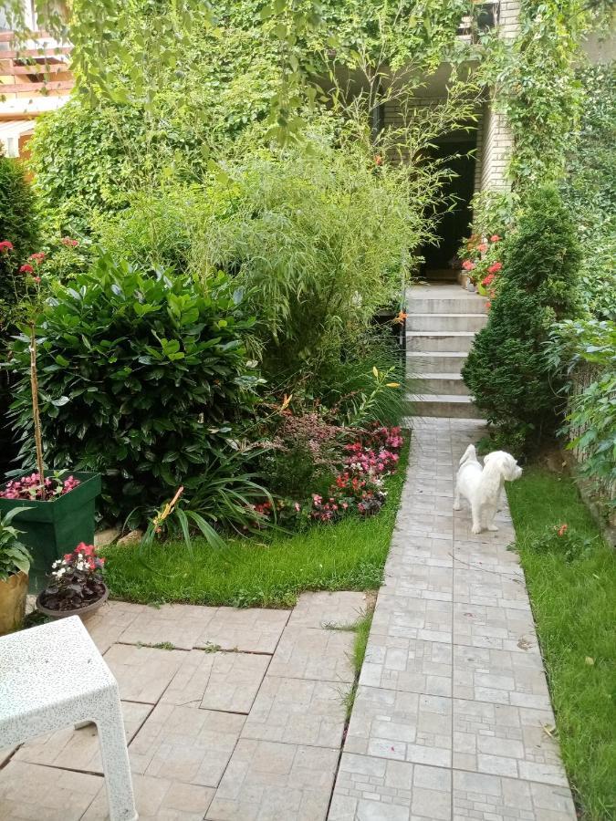 Dusica Apartmani Jagodina Bagian luar foto