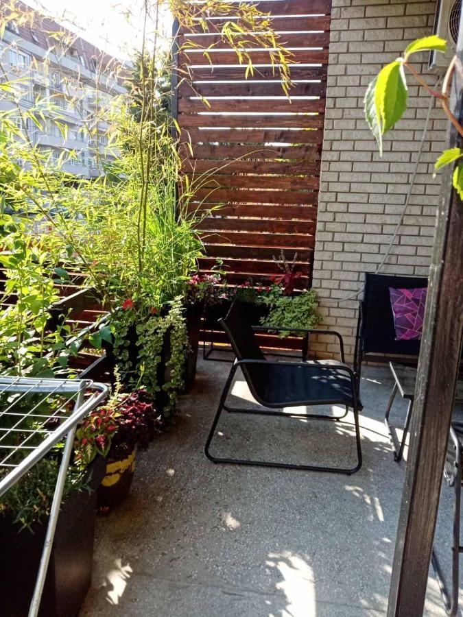 Dusica Apartmani Jagodina Bagian luar foto