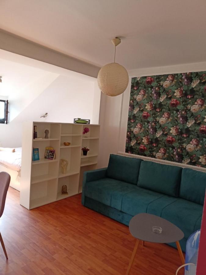 Dusica Apartmani Jagodina Bagian luar foto