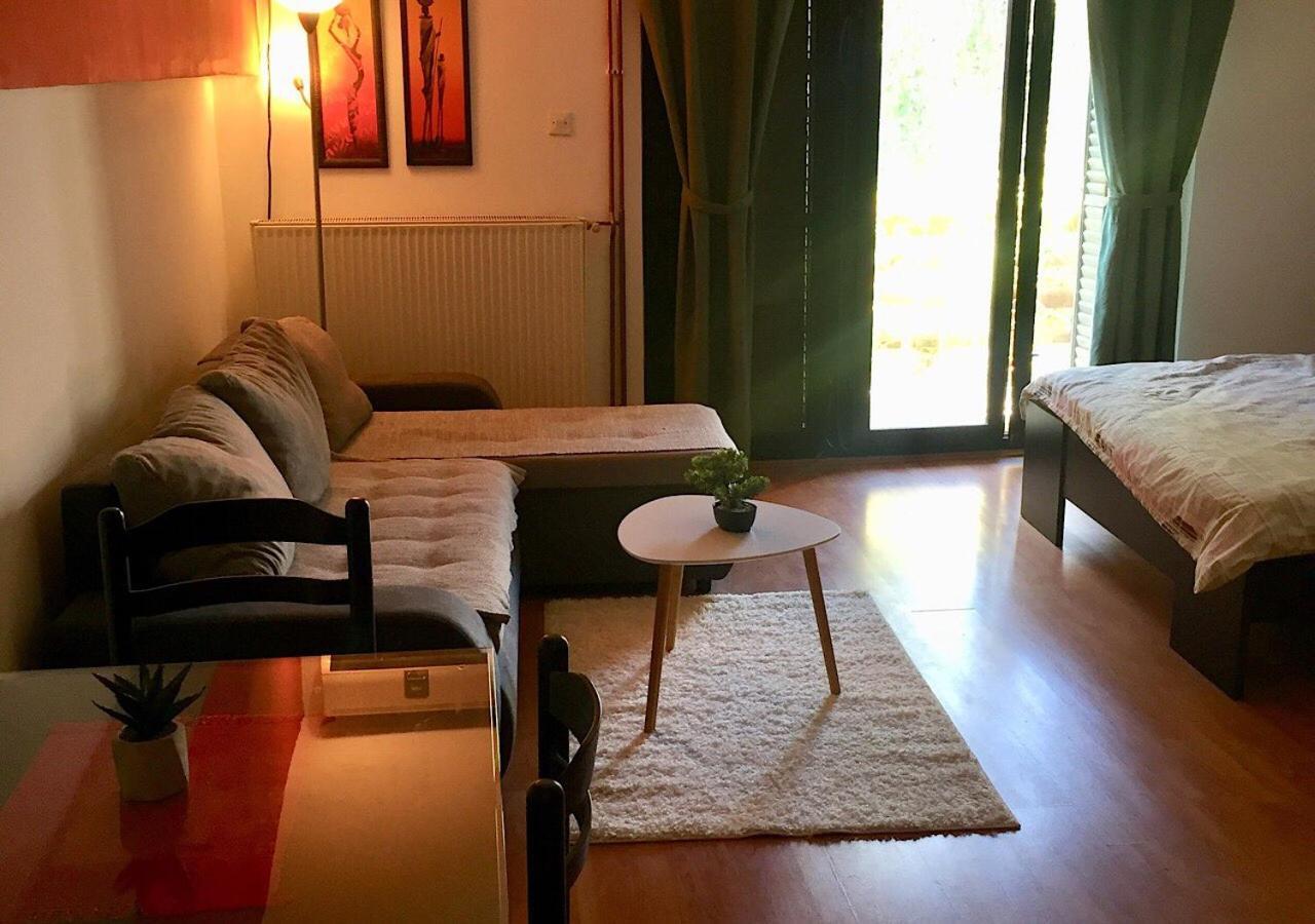 Dusica Apartmani Jagodina Bagian luar foto