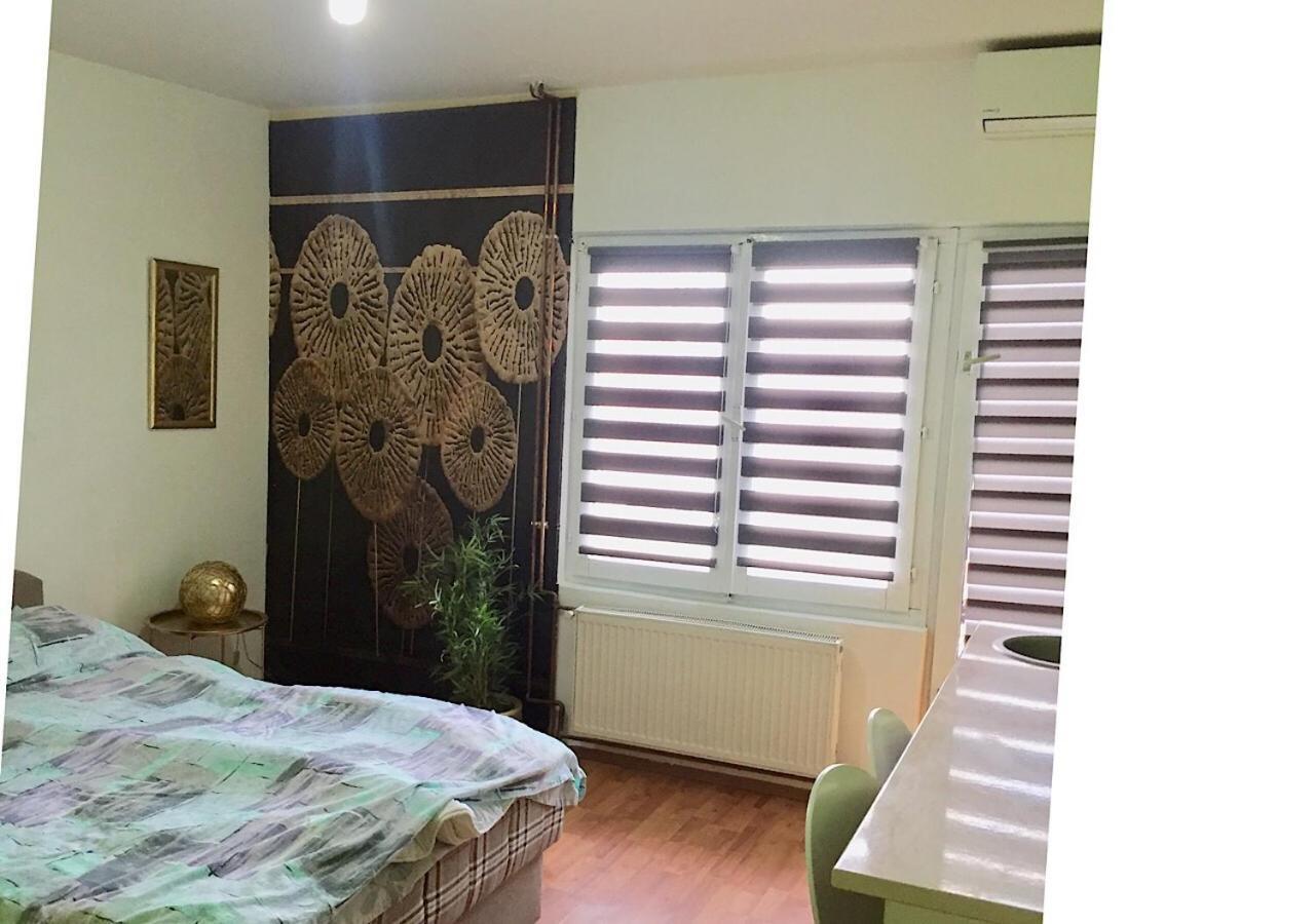 Dusica Apartmani Jagodina Bagian luar foto
